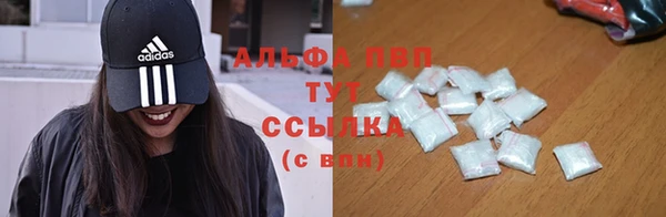 мяу мяу мука Белокуриха