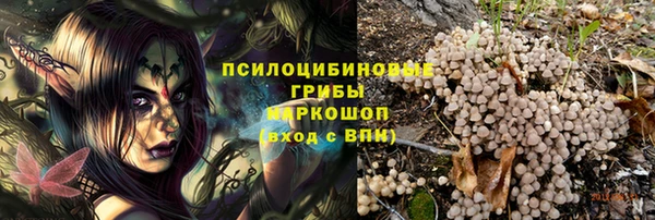 мяу мяу мука Белокуриха