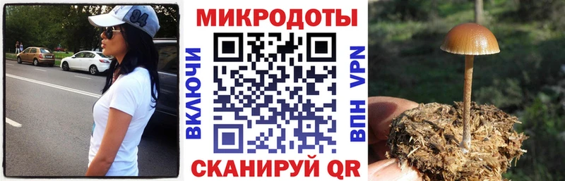 где продают   Харовск  Галлюциногенные грибы мицелий 